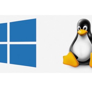 LINUXWIN